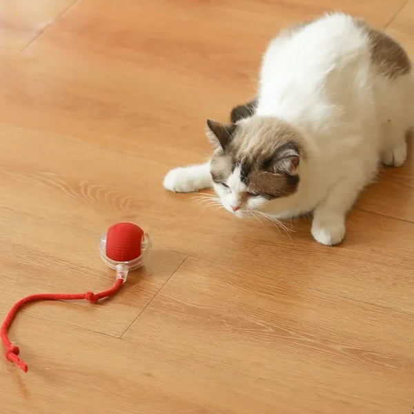 Bolinha Inteligente Para Gatos - Power Ball 2.0