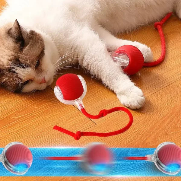 Bolinha Inteligente Para Gatos - Power Ball 2.0