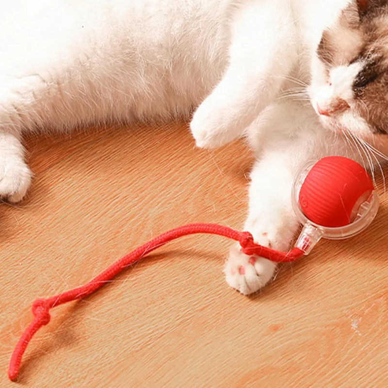 Bolinha Inteligente Para Gatos - Power Ball 2.0