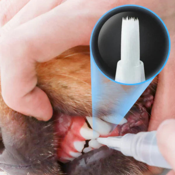 Canetas Para Cuidados Bucais de Gatos e Cachorros - ShineTeeth™